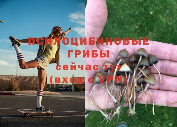 скорость Медвежьегорск