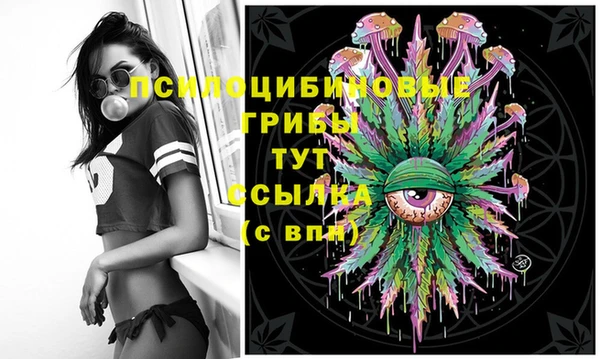 скорость Медвежьегорск