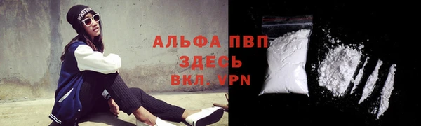 скорость Медвежьегорск