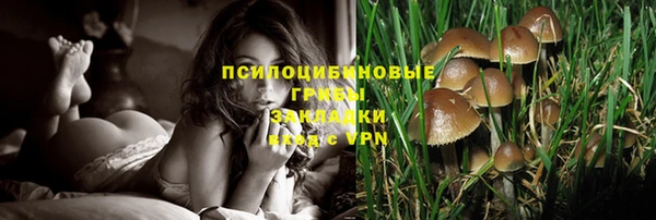 прущие крисы Магас