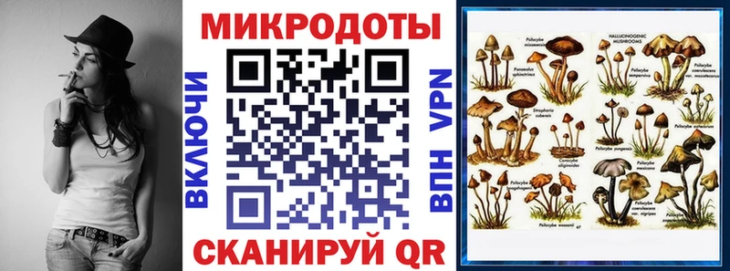 Псилоцибиновые грибы мицелий  Звенигово 